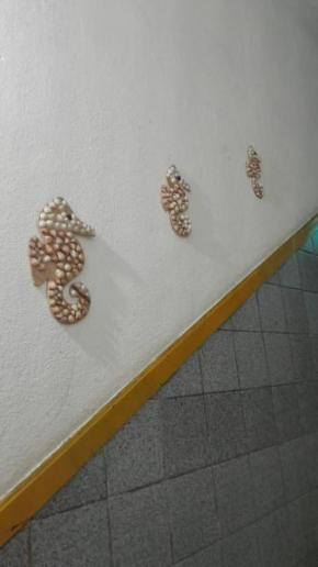 pousada terra praia